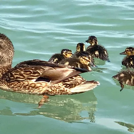 Διαμέρισμα Sunset By The