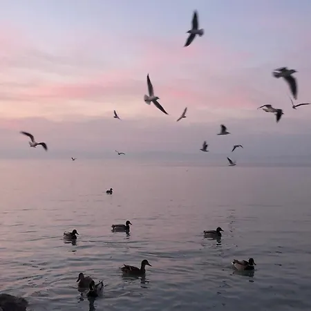 Sunset By The Apartmán *