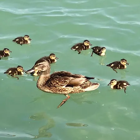 Sunset By The Apartmán